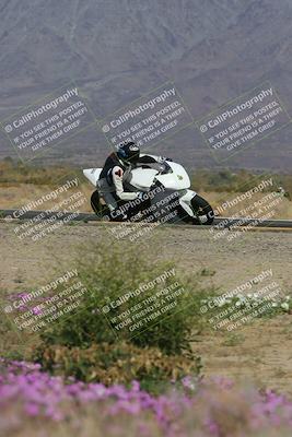 media/Feb-04-2023-SoCal Trackdays (Sat) [[8a776bf2c3]]/Turn 15 Inside Blooming (1050am)/